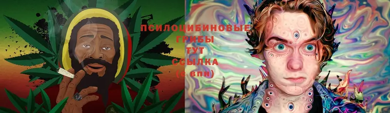 нарко площадка формула  Ковров  Псилоцибиновые грибы Magic Shrooms 